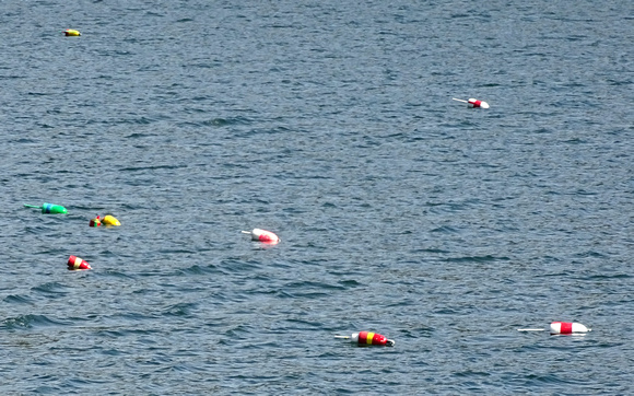 Buoys used to mark lobster traps below.