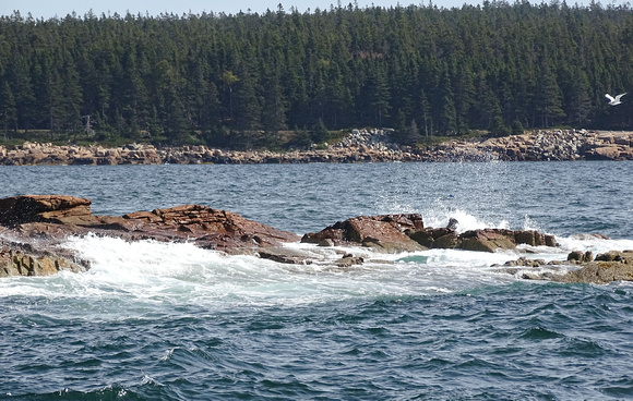Typical rocky coast of Maine