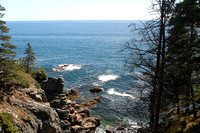 The rocky coast of Maine, along Acadia National Park