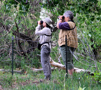 Two birders looking at a bird