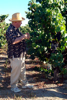 Mr Battaglini describes his grape growing