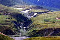 Artic tundra and stream