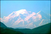 Denali - from the Park