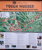 Tough Mudder 2013