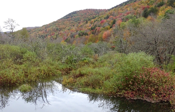 Leaves turning. Near West side of Green Mountains, Vermont.