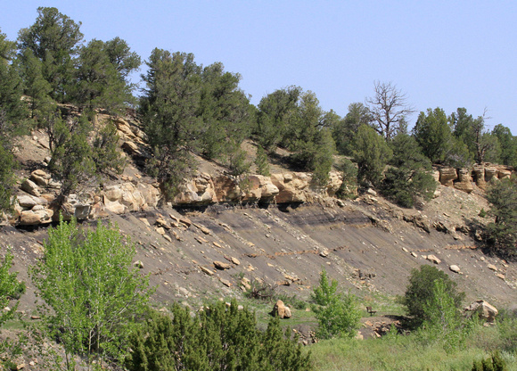 Outcrop of the K-T geologic boundary