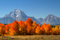Mt Moran