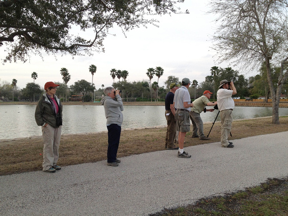 Catching some late-day birds in Harlingen City Park.